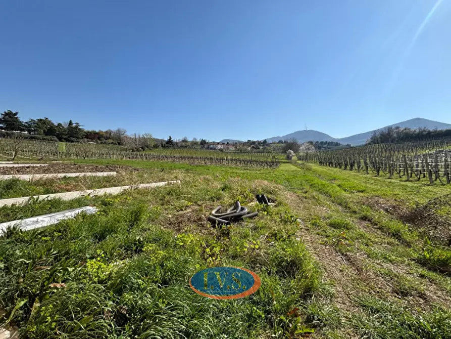 Immagine 19 di Villetta a schiera in vendita  in Piazza liberazione n. 50 a Vo