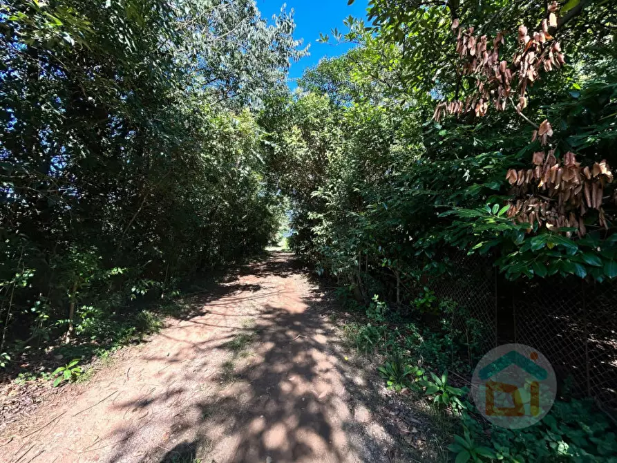 Immagine 5 di Terreno in vendita  in via dei campi a Gradisca D'isonzo