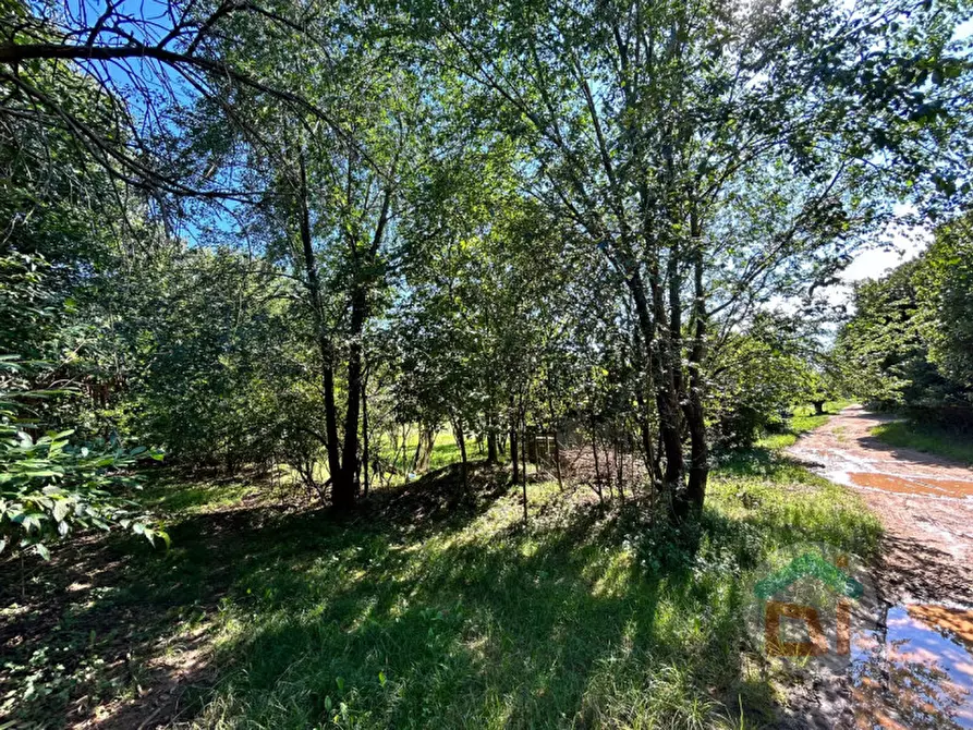 Immagine 6 di Terreno in vendita  in via dei campi a Gradisca D'isonzo