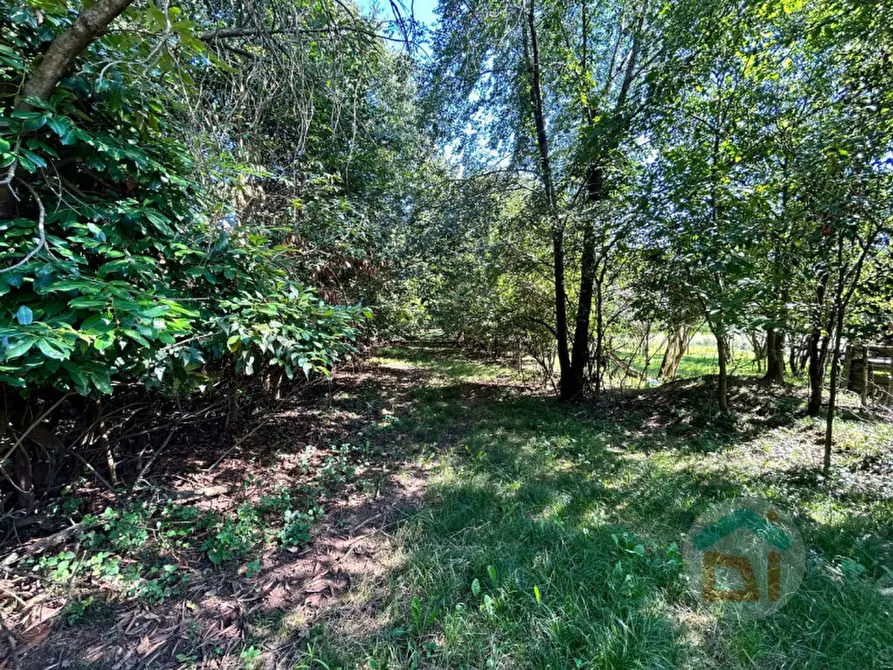 Immagine 7 di Terreno in vendita  in via dei campi a Gradisca D'isonzo