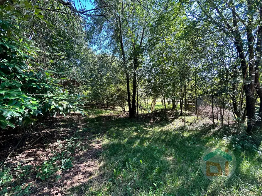 Immagine 8 di Terreno in vendita  in via dei campi a Gradisca D'isonzo