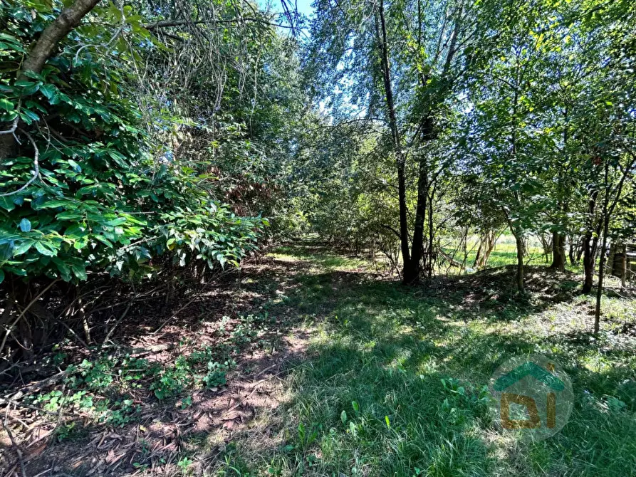 Immagine 9 di Terreno in vendita  in via dei campi a Gradisca D'isonzo