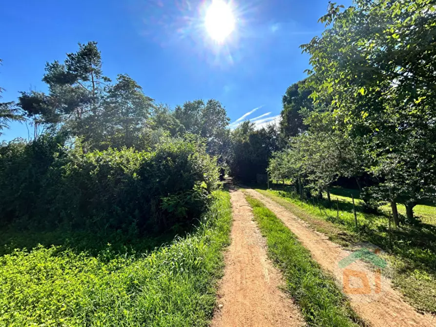 Immagine 10 di Terreno in vendita  in via dei campi a Gradisca D'isonzo