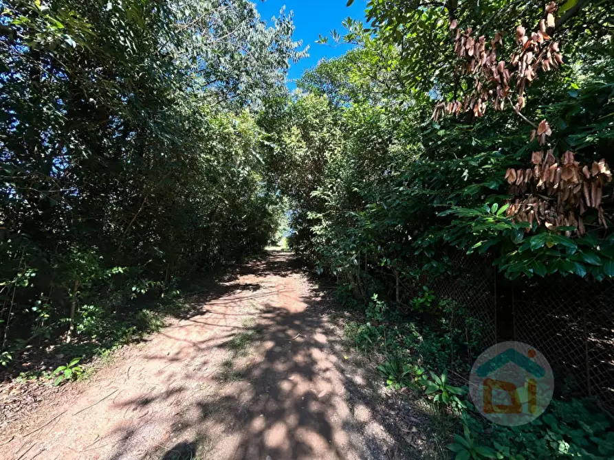 Immagine 11 di Terreno in vendita  in via dei campi a Gradisca D'isonzo