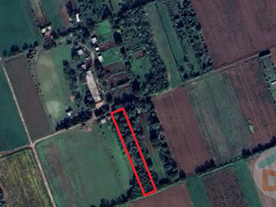 Immagine 15 di Terreno in vendita  in via dei campi a Gradisca D'isonzo