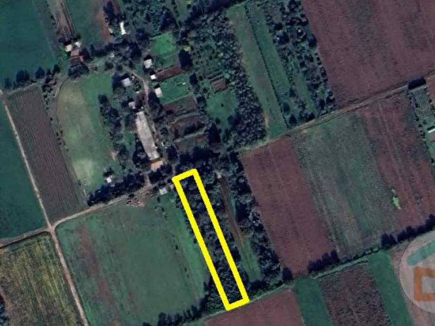 Immagine 18 di Terreno in vendita  in via dei campi a Gradisca D'isonzo