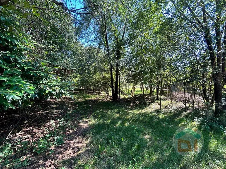 Immagine 20 di Terreno in vendita  in via dei campi a Gradisca D'isonzo