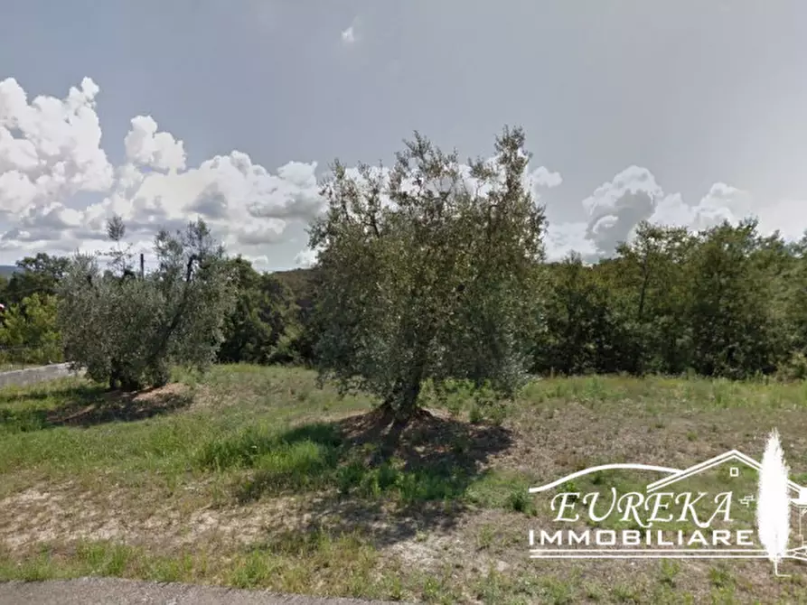 Immagine 2 di Terreno in vendita  in colle alto a Monteleone D'orvieto