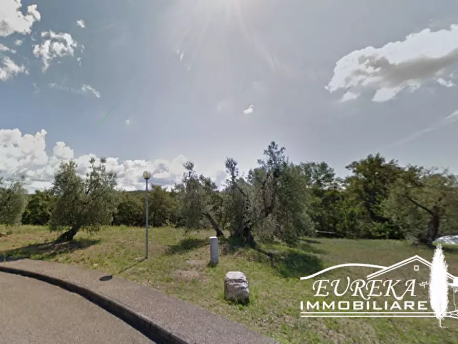 Immagine 3 di Terreno in vendita  in colle alto a Monteleone D'orvieto