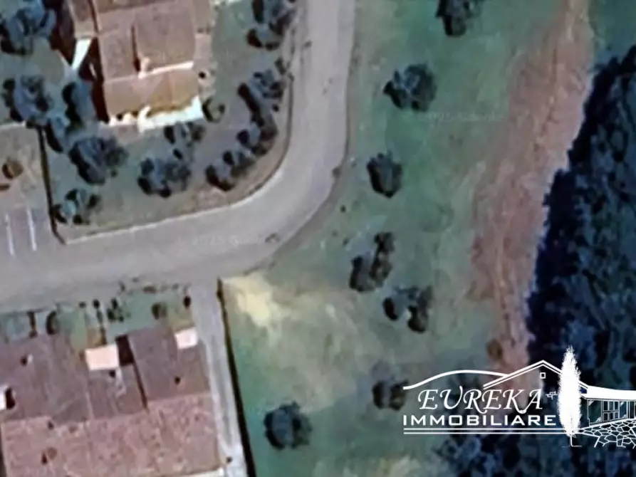 Immagine 5 di Terreno in vendita  in colle alto a Monteleone D'orvieto