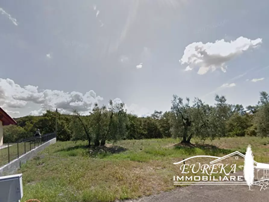 Immagine 6 di Terreno in vendita  in colle alto a Monteleone D'orvieto