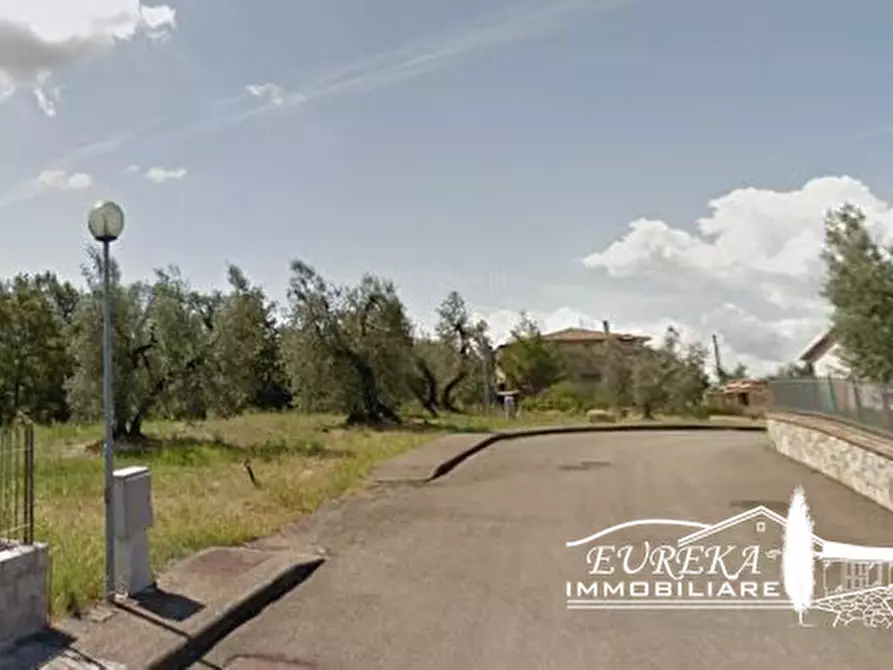 Immagine 8 di Terreno in vendita  in colle alto a Monteleone D'orvieto