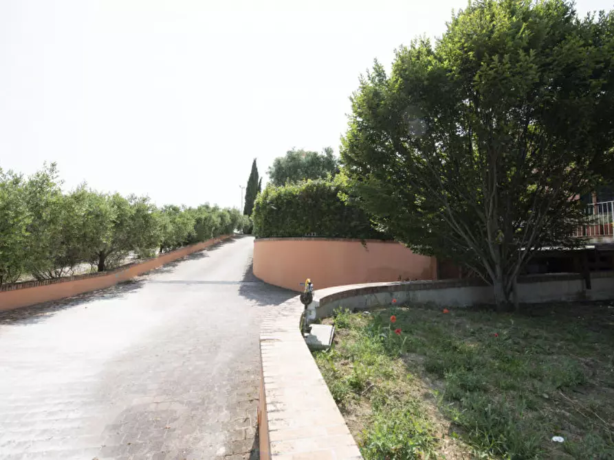 Immagine 6 di Bed & Breakfast in vendita  in Via Piani d'Aspio a Sirolo