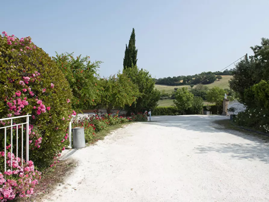 Immagine 8 di Bed & Breakfast in vendita  in Via Piani d'Aspio a Sirolo