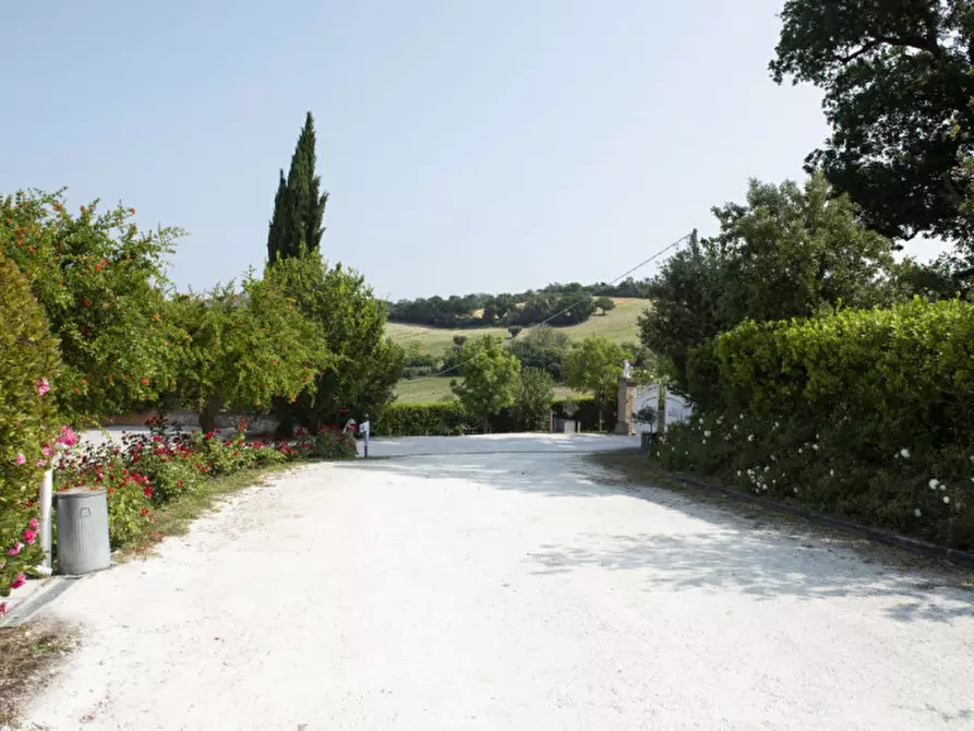 Immagine 10 di Bed & Breakfast in vendita  in Via Piani d'Aspio a Sirolo