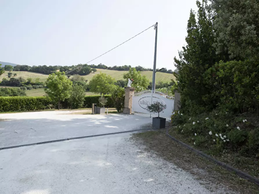 Immagine 11 di Bed & Breakfast in vendita  in Via Piani d'Aspio a Sirolo