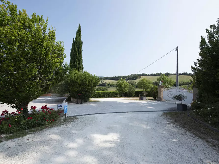 Immagine 12 di Bed & Breakfast in vendita  in Via Piani d'Aspio a Sirolo