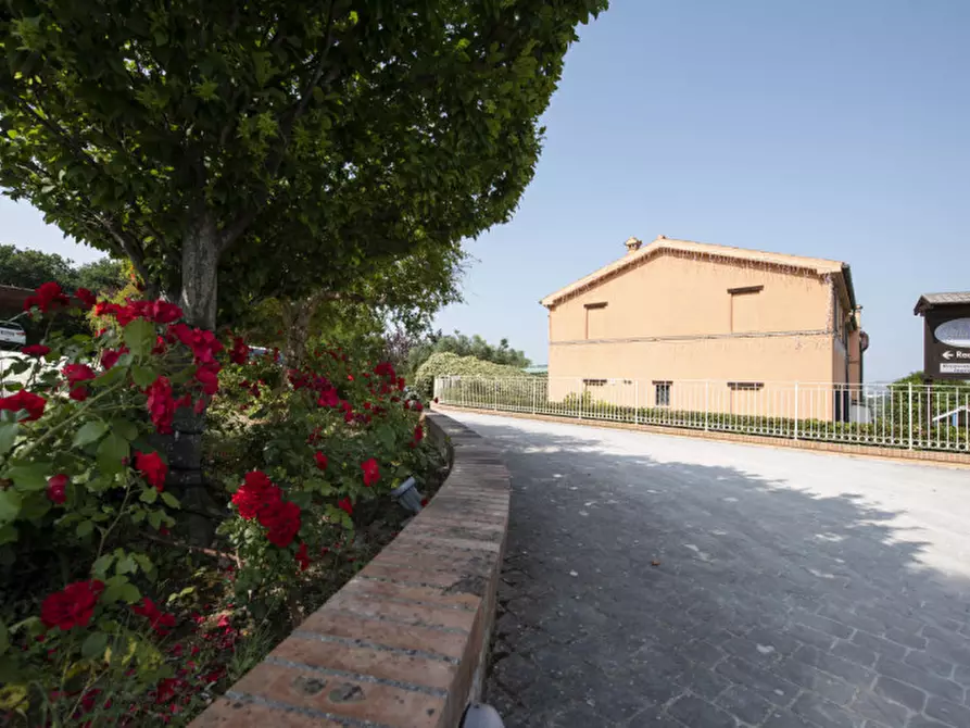 Immagine 14 di Bed & Breakfast in vendita  in Via Piani d'Aspio a Sirolo