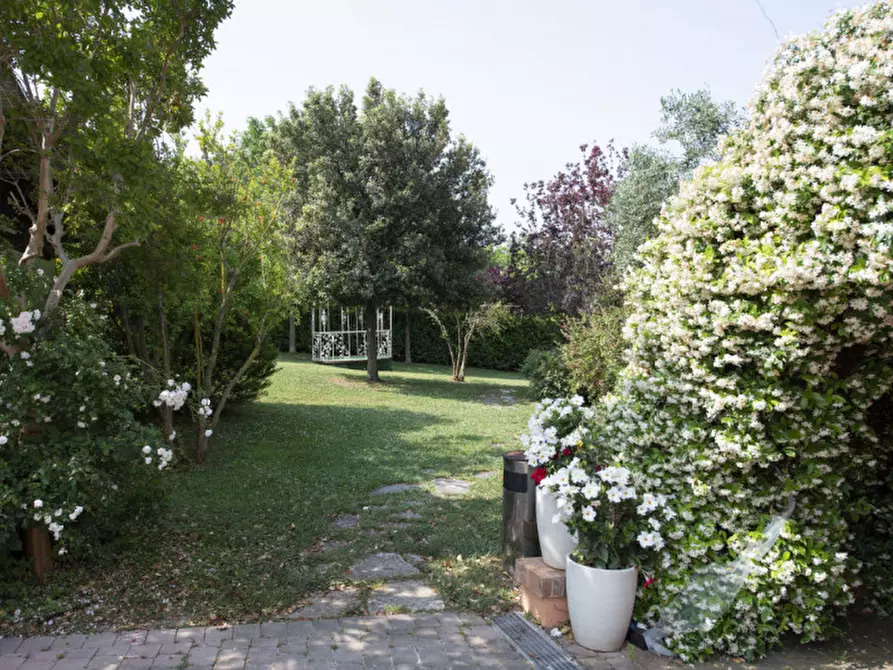 Immagine 15 di Bed & Breakfast in vendita  in Via Piani d'Aspio a Sirolo