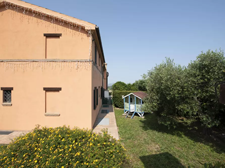 Immagine 24 di Bed & Breakfast in vendita  in Via Piani d'Aspio a Sirolo