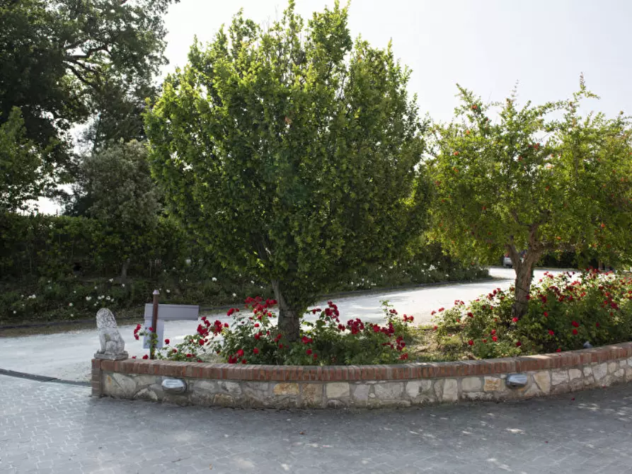 Immagine 26 di Bed & Breakfast in vendita  in Via Piani d'Aspio a Sirolo