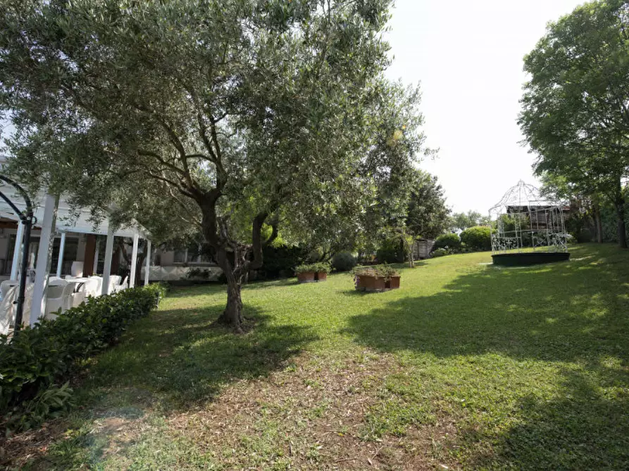 Immagine 29 di Bed & Breakfast in vendita  in Via Piani d'Aspio a Sirolo