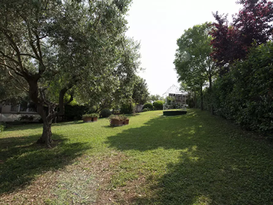 Immagine 30 di Bed & Breakfast in vendita  in Via Piani d'Aspio a Sirolo