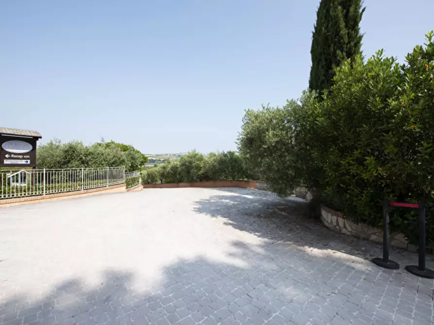 Immagine 33 di Bed & Breakfast in vendita  in Via Piani d'Aspio a Sirolo