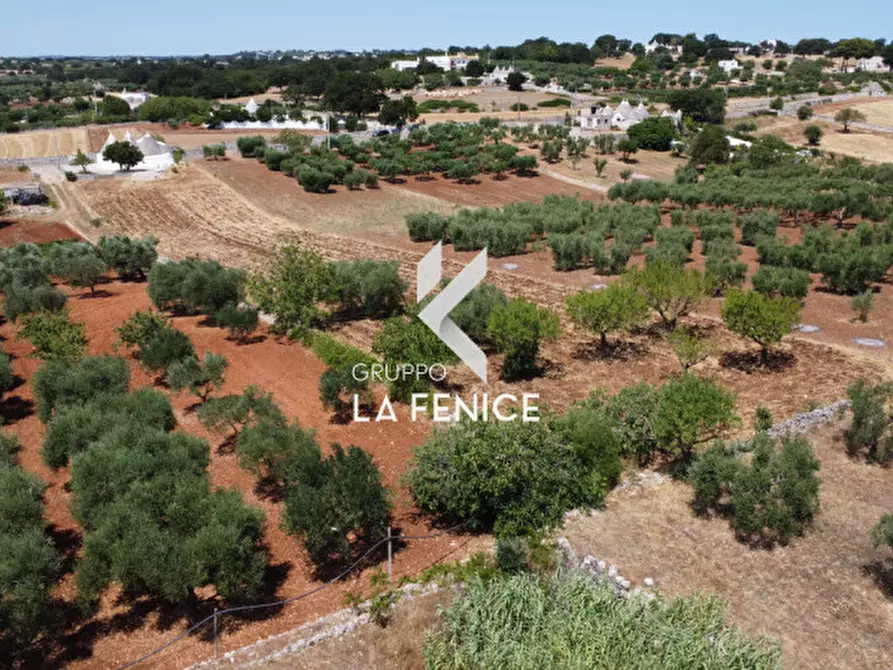 Immagine 18 di Rustico / casale in vendita  in c.da Rampone a Martina Franca