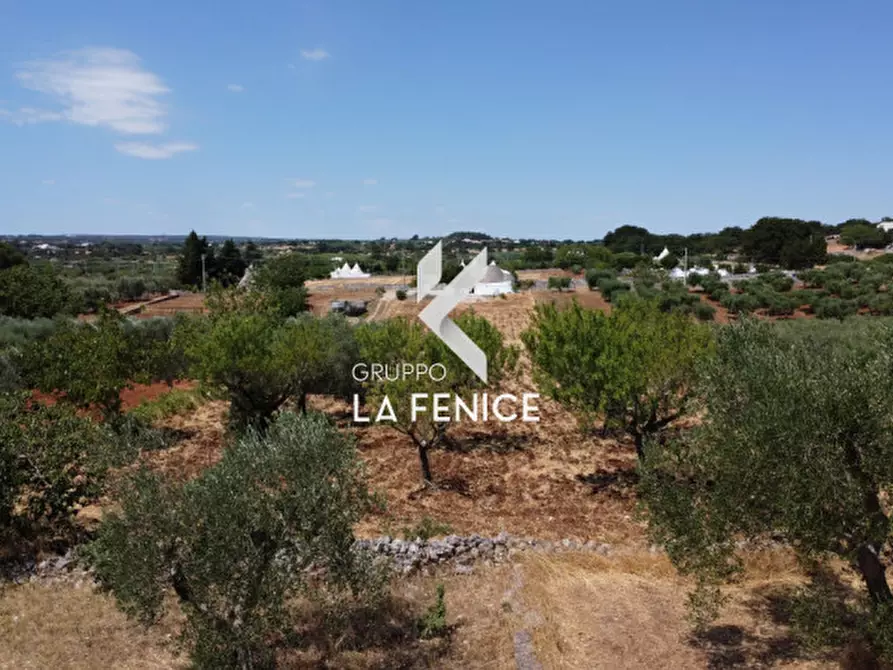 Immagine 19 di Rustico / casale in vendita  in c.da Ritunno a Locorotondo