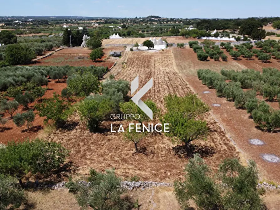 Immagine 19 di Rustico / casale in vendita  in c.da Rampone a Martina Franca