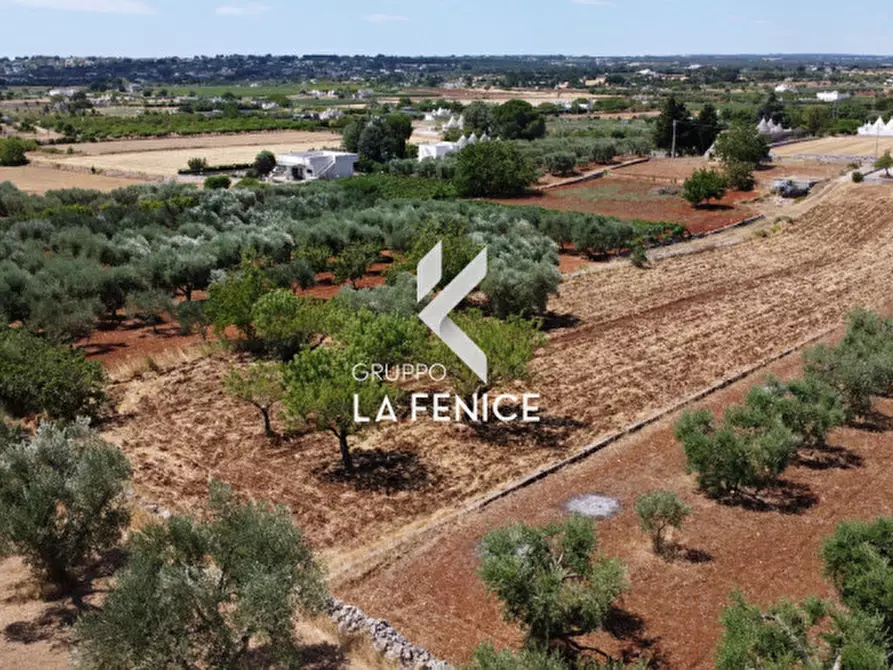 Immagine 20 di Rustico / casale in vendita  in c.da Rampone a Martina Franca