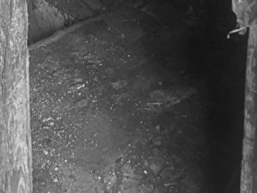 Immagine 5 di Appartamento in vendita  in 13816 Sagliano Micca BI, Italia a Sagliano Micca