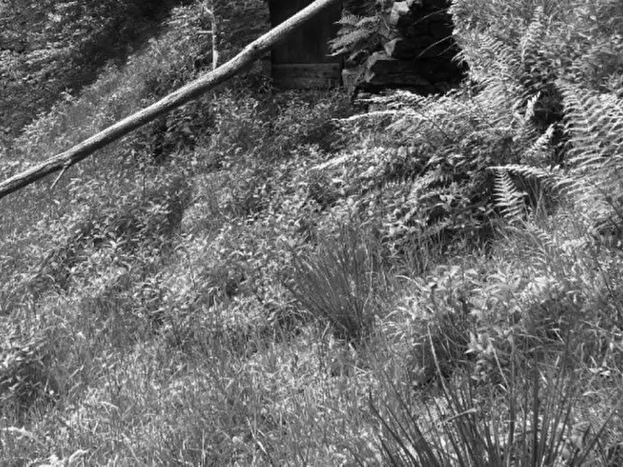 Immagine 9 di Appartamento in vendita  in 13816 Sagliano Micca BI, Italia a Sagliano Micca