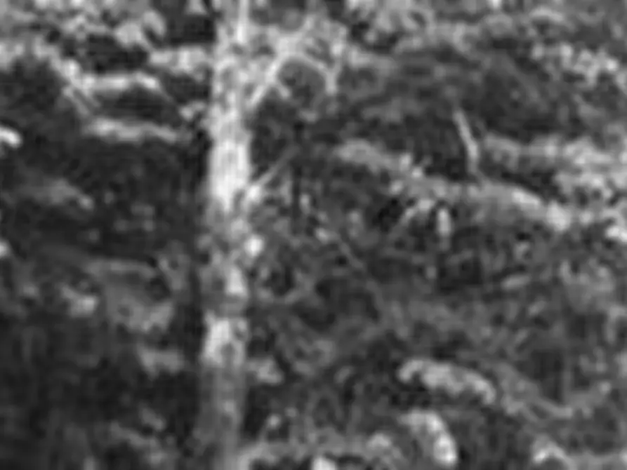 Immagine 16 di Appartamento in vendita  in 13816 Sagliano Micca BI, Italia a Sagliano Micca