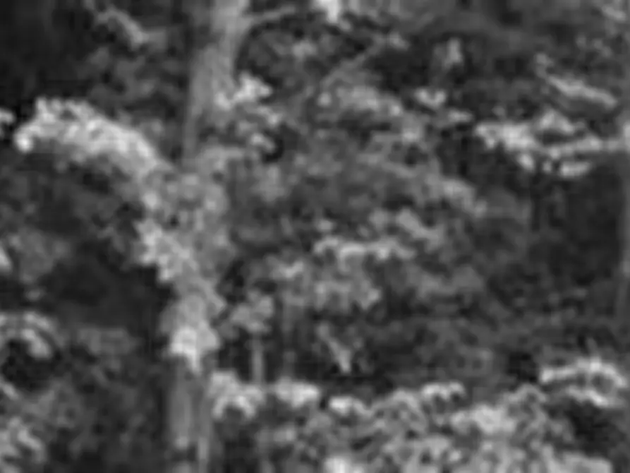 Immagine 17 di Appartamento in vendita  in 13816 Sagliano Micca BI, Italia a Sagliano Micca