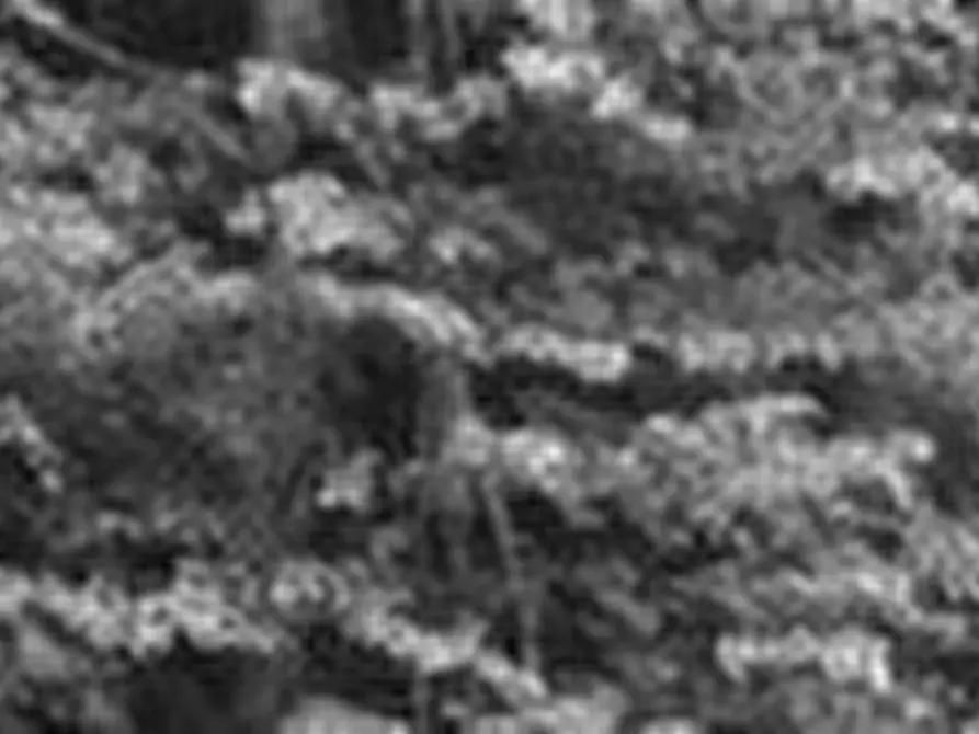 Immagine 18 di Appartamento in vendita  in 13816 Sagliano Micca BI, Italia a Sagliano Micca