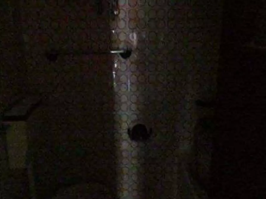 Immagine 7 di Appartamento in vendita  in Vicolo Ozieri, 6 - 95036 Randazzo (CT) a Randazzo