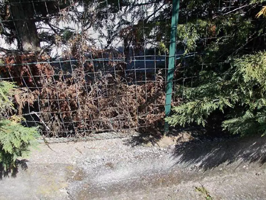 Immagine 7 di Villa in vendita  in Località Profondiero snc - 87020 San Nicola Arcella (CS) a San Nicola Arcella