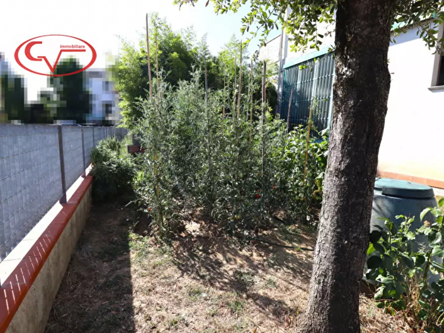 Immagine 21 di Casa indipendente in vendita  in levanella a Montevarchi