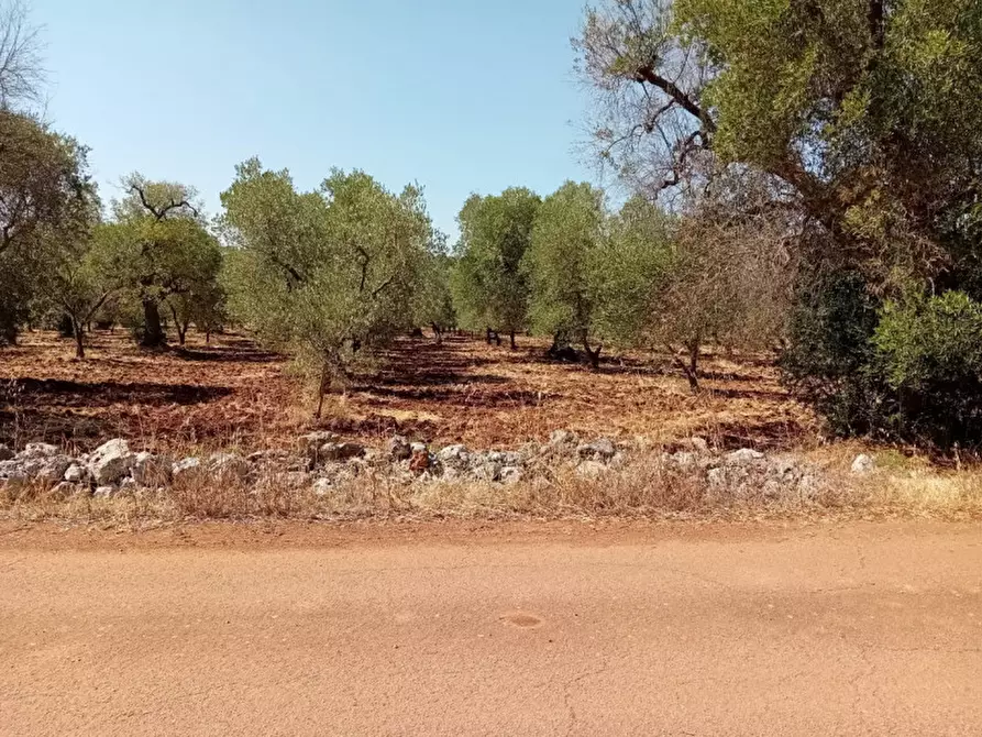 Immagine 2 di Terreno in vendita  in C.da Madonna Piccola a Ceglie Messapico