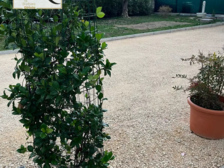 Immagine 25 di Casa bifamiliare in vendita  a Ceneselli