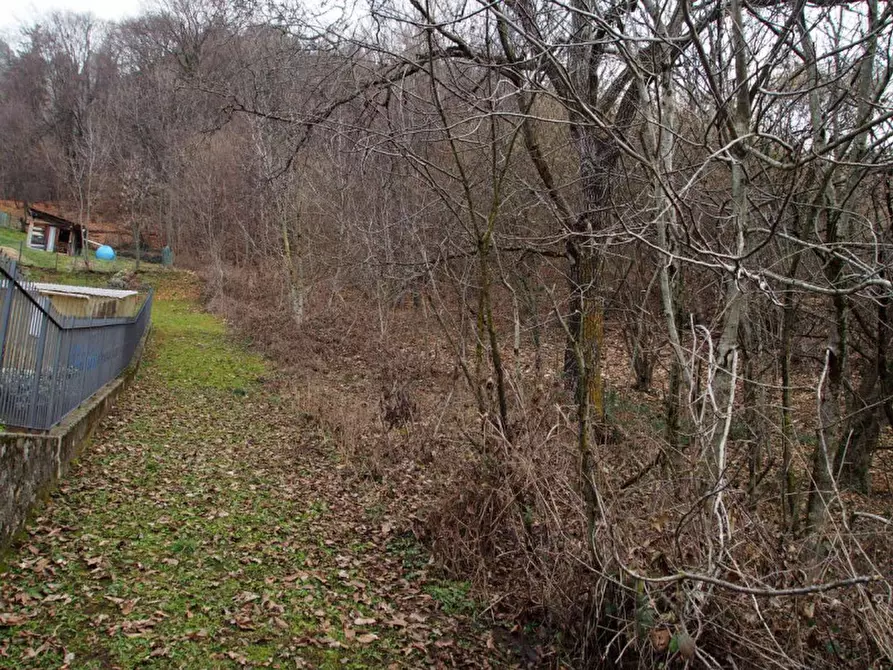 Immagine 3 di Palazzo in vendita  in Via Colle, 22, Frazione Santa Croce  - San Pellegrino Terme (BG) a Zogno