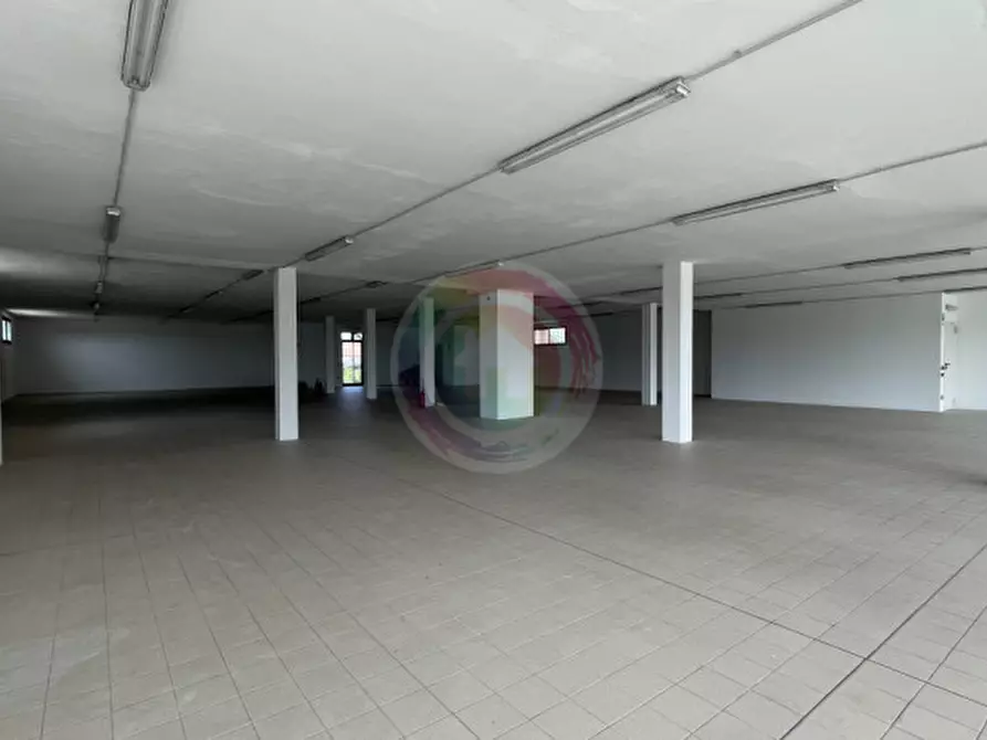 Immagine 5 di Appartamento in affitto  a Stanghella