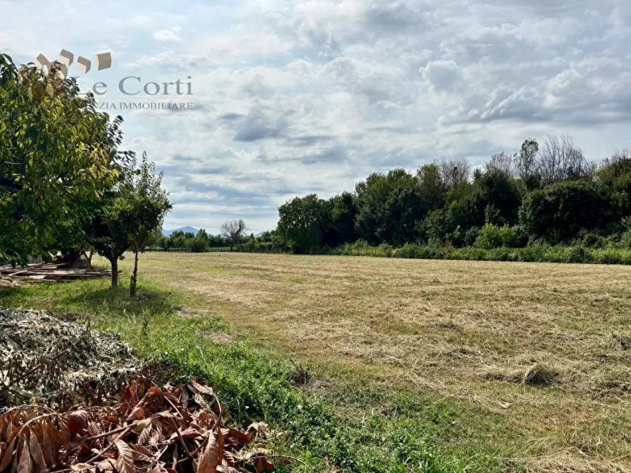 Immagine 15 di Casa indipendente in vendita  a Sossano