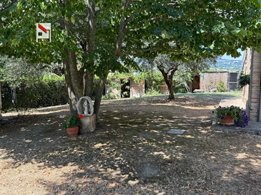 Immagine 10 di Rustico / casale in vendita  in Via della Pieve a Cartoceto