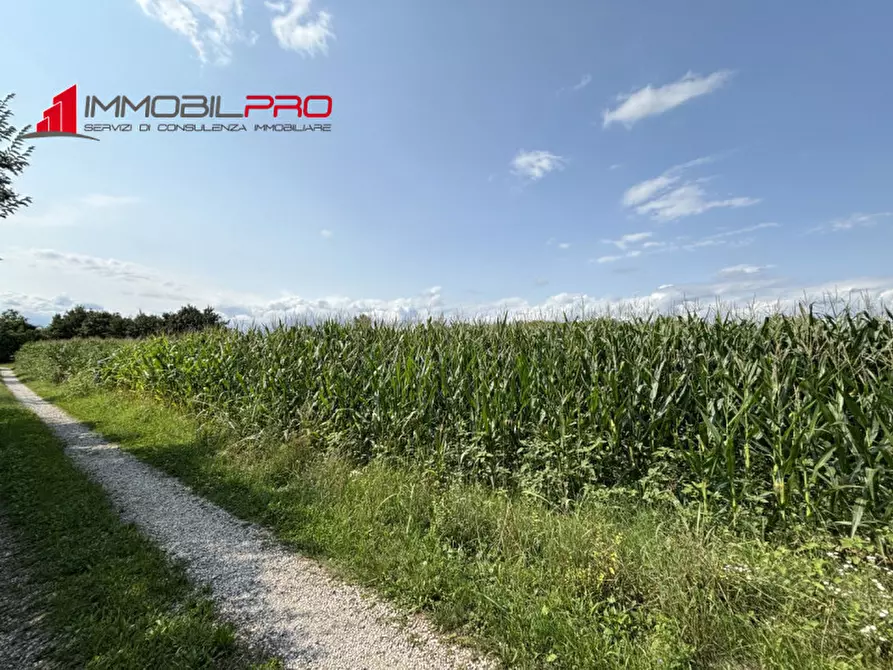 Immagine 2 di Terreno in vendita  in Via Roma a Montecchio Precalcino