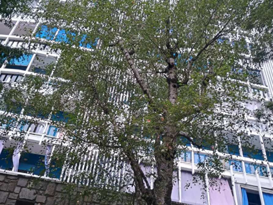 Immagine 4 di Attività commerciale in vendita  in Corso Francia 222 a Collegno