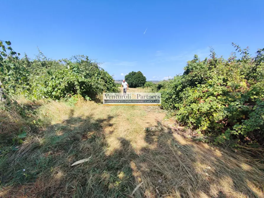 Immagine 11 di Terreno in vendita  in Via Brodena a Lonato del Garda