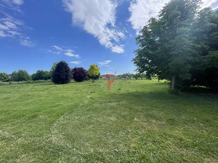 Immagine 3 di Villa in vendita  in Via Torino a Legnaro